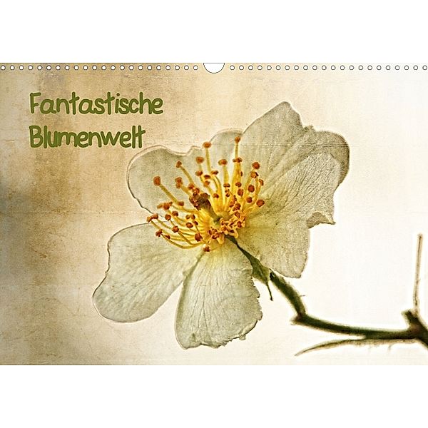 Fantastische Blumenwelt (Posterbuch DIN A3 quer), Hernegger Arnold