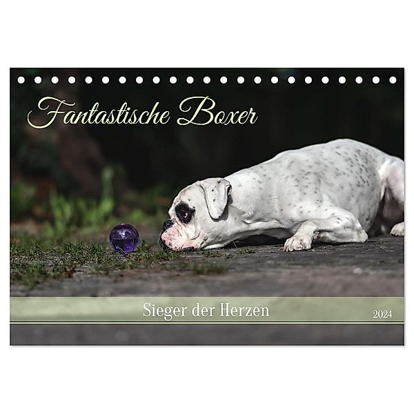 Fantastische Boxer - Sieger der Herzen (Tischkalender 2024 DIN A5 quer), CALVENDO Monatskalender, Yvonne Janetzek