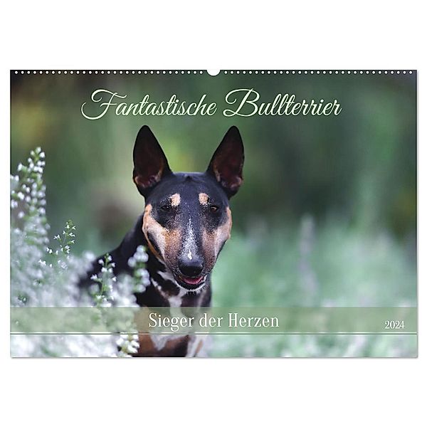 Fantastische Bullterrier - Sieger im Herzen (Wandkalender 2024 DIN A2 quer), CALVENDO Monatskalender, Yvonne Janetzek