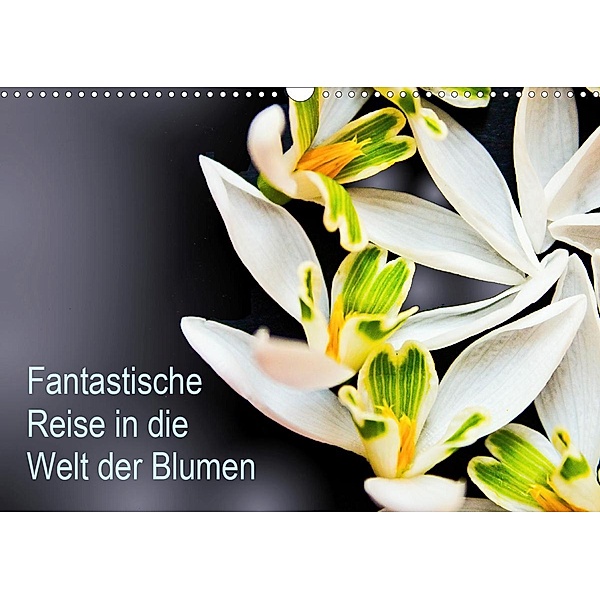Fantastische Reise in die Welt der Blumen (Wandkalender 2021 DIN A3 quer), Anke Klöppel