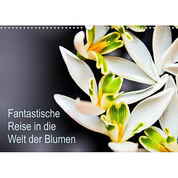 Fantastische Reise in die Welt der Blumen (Wandkalender 2022 DIN A3 quer), Anke Klöppel