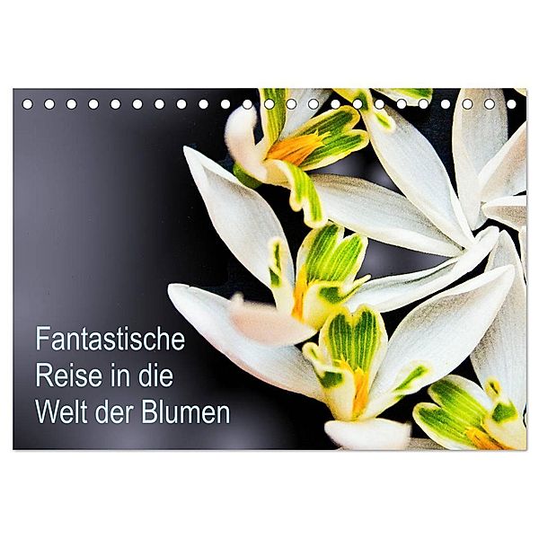 Fantastische Reise in die Welt der Blumen (Tischkalender 2024 DIN A5 quer), CALVENDO Monatskalender, Anke Klöppel