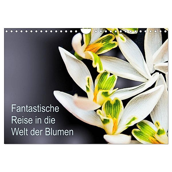 Fantastische Reise in die Welt der Blumen (Wandkalender 2024 DIN A4 quer), CALVENDO Monatskalender, Anke Klöppel