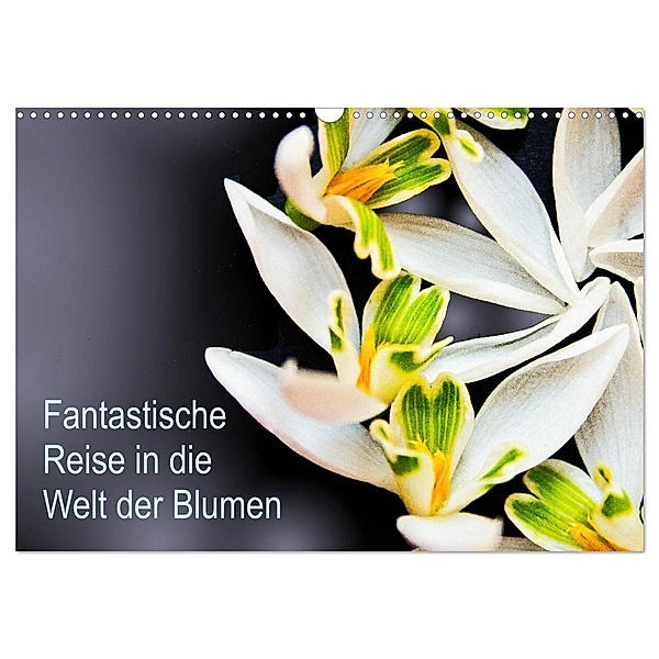 Fantastische Reise in die Welt der Blumen (Wandkalender 2024 DIN A3 quer), CALVENDO Monatskalender, Anke Klöppel