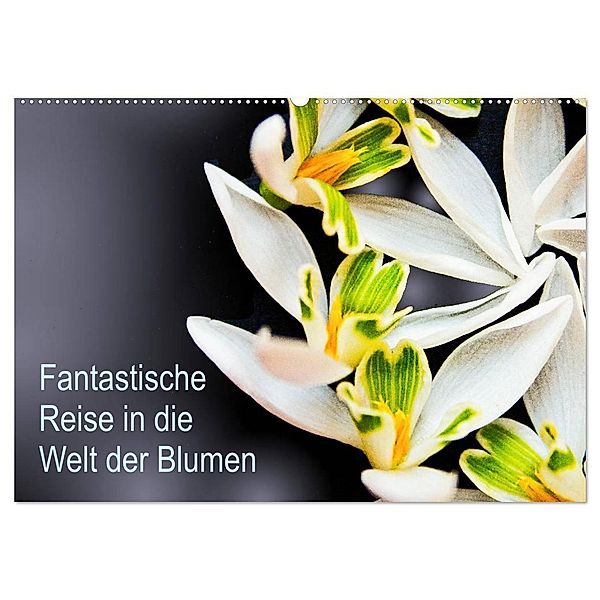 Fantastische Reise in die Welt der Blumen (Wandkalender 2025 DIN A2 quer), CALVENDO Monatskalender, Calvendo, Anke Klöppel