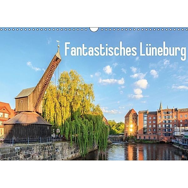 Fantastisches Lüneburg (Wandkalender 2017 DIN A3 quer), Alexander Steinhof
