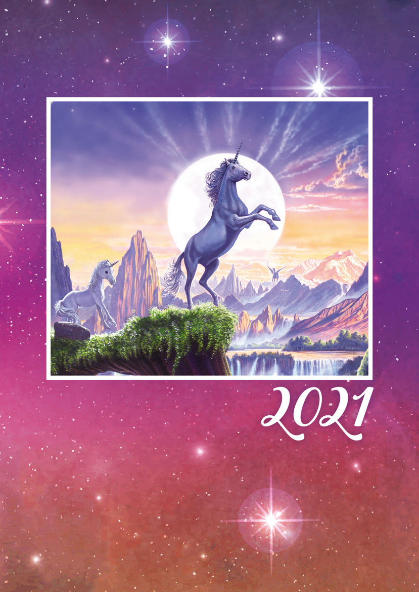 Fantasy Kalender-Paket 2021, 9-teilig - Kalender bei Weltbild.de