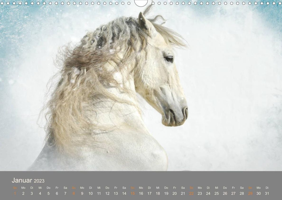 FANTASY Pferde Horses Caballos Wandkalender 2023 DIN A3 quer - Kalender  bestellen