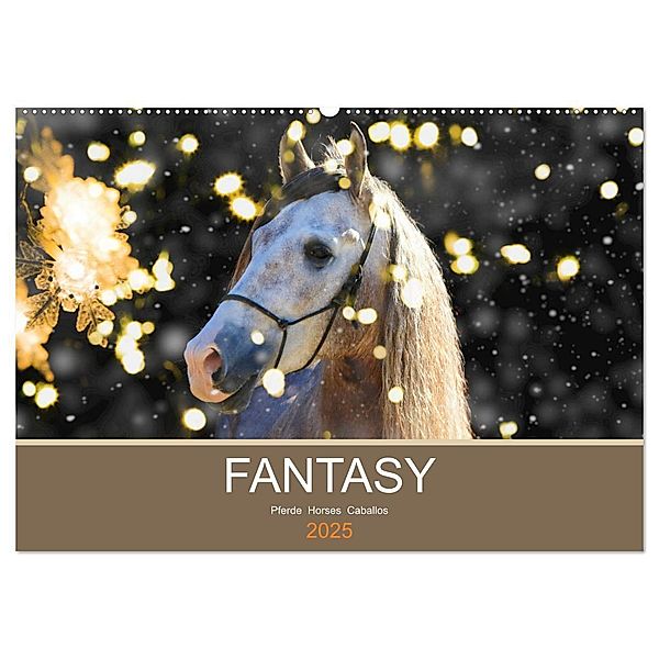 FANTASY Pferde Horses Caballos (Wandkalender 2025 DIN A2 quer), CALVENDO Monatskalender, Calvendo, Petra Eckerl Tierfotografie