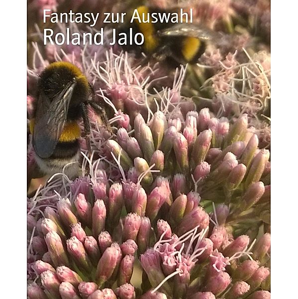 Fantasy zur Auswahl, Roland Jalo