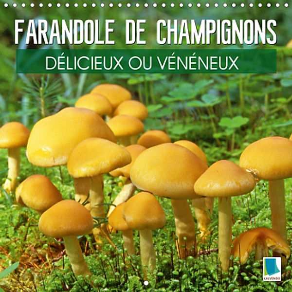 Farandole de champignons - Délicieux ou vénéneux (Calendrier mural 2021 300 × 300 mm Square)