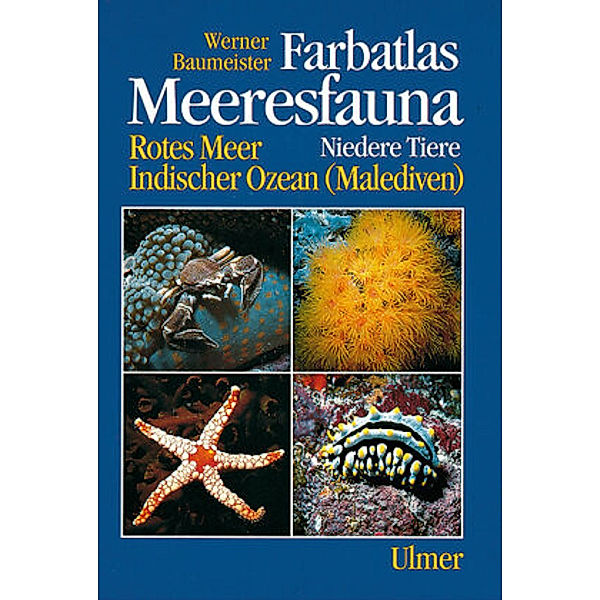 Farbatlas Meeresfauna, 2 Bde.: Bd.1 Meeresfauna - Niedere Tiere, Werner Baumeister