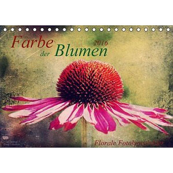Farbe der Blumen (Tischkalender 2016 DIN A5 quer), Angela Dölling