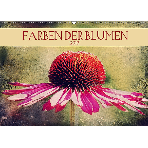 Farben der Blumen (Wandkalender 2019 DIN A2 quer), Angela Dölling