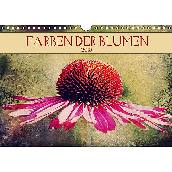 Farben der Blumen (Wandkalender 2019 DIN A4 quer), Angela Dölling