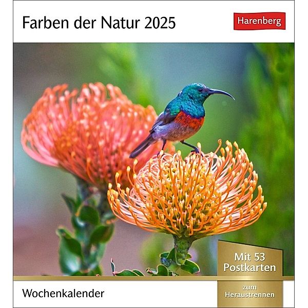 Farben der Natur Postkartenkalender 2025 - Wochenkalender mit 53 Postkarten