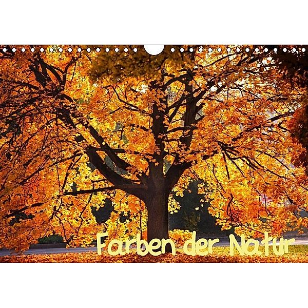 Farben der Natur (Wandkalender 2017 DIN A4 quer), Holger Gräbner