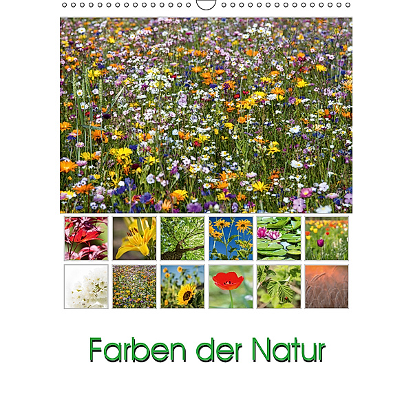 Farben der Natur (Wandkalender 2019 DIN A3 hoch), Thomas Klinder