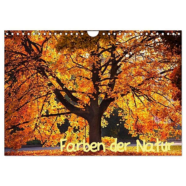 Farben der Natur (Wandkalender 2024 DIN A4 quer), CALVENDO Monatskalender, Holger Gräbner