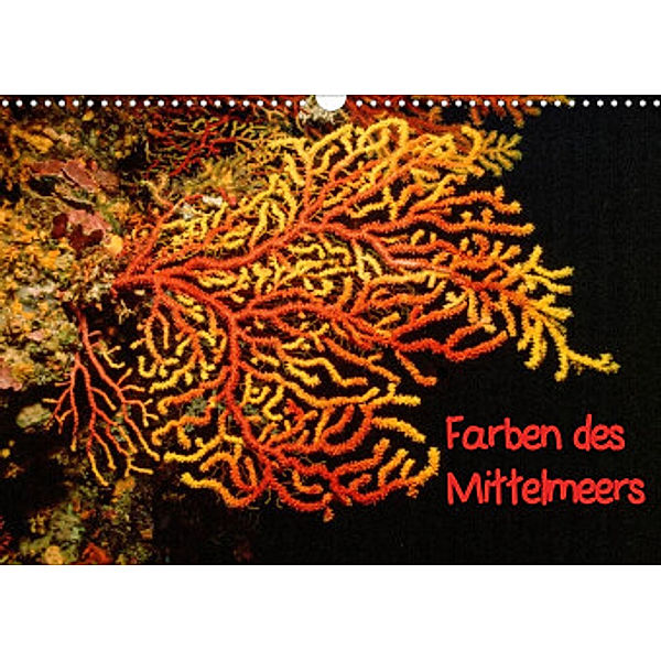 Farben des Mittelmeers (Wandkalender 2022 DIN A3 quer), Dieter Gödecke