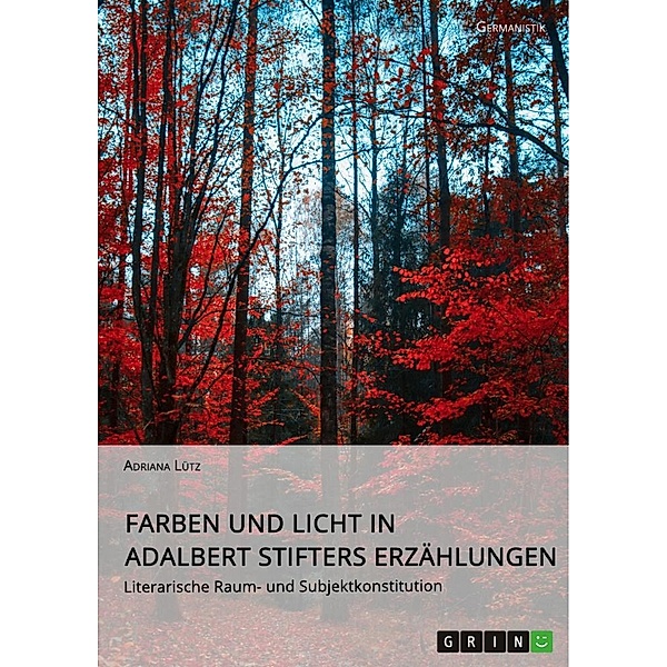 Farben und Licht in Adalbert Stifters Erzählungen. Literarische Raum- und Subjektkonstitution, Adriana Lütz