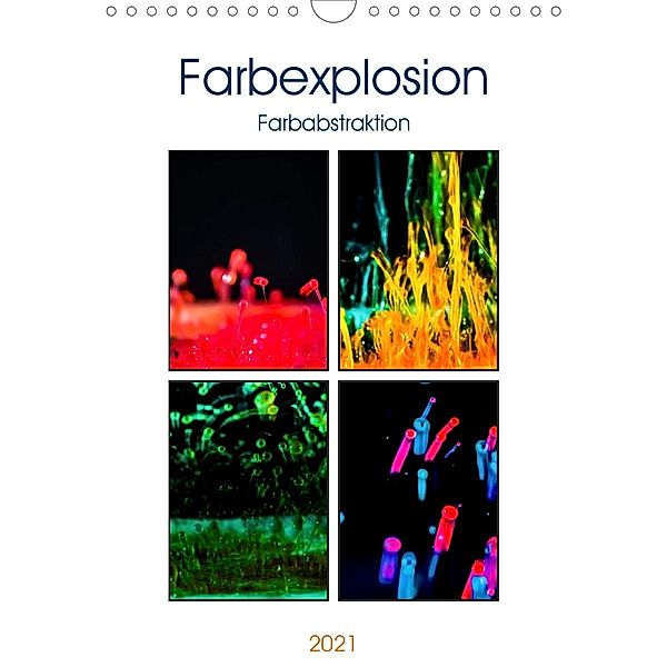 Farbenabstraktion Farbenexplosion (Wandkalender 2021 DIN A4 hoch), Monika Altenburger