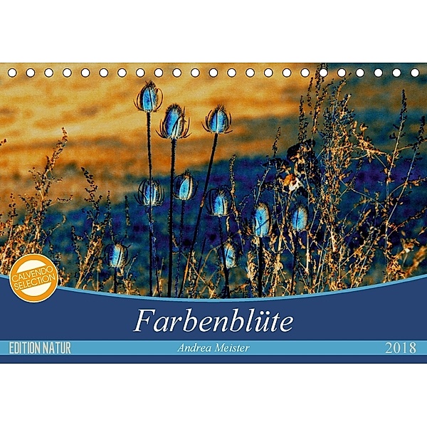 Farbenblüte (Tischkalender 2018 DIN A5 quer), Andrea Meister