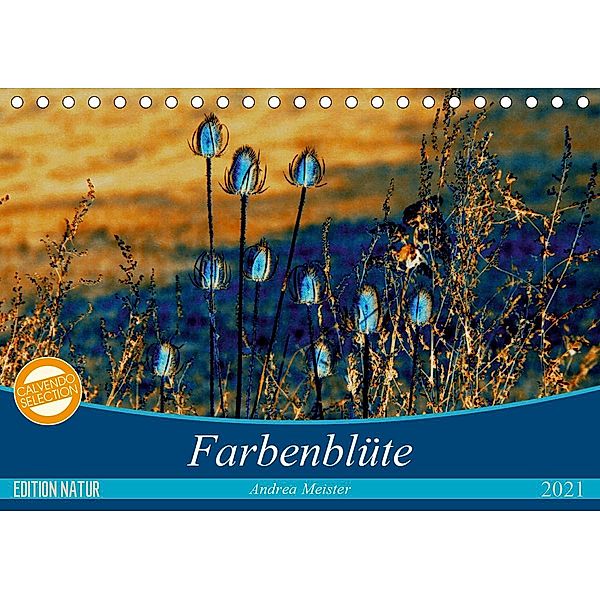 Farbenblüte (Tischkalender 2021 DIN A5 quer), Andrea Meister