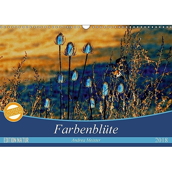 Farbenblüte (Wandkalender 2018 DIN A3 quer), Andrea Meister