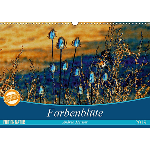 Farbenblüte (Wandkalender 2019 DIN A3 quer), Andrea Meister