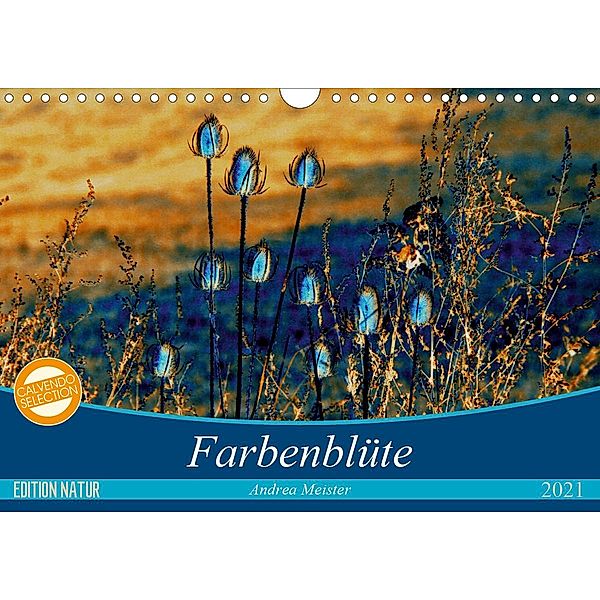 Farbenblüte (Wandkalender 2021 DIN A4 quer), Andrea Meister