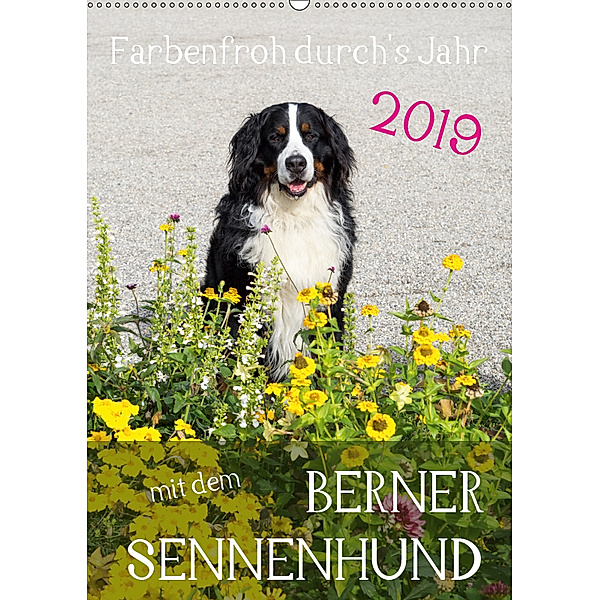 Farbenfroh durch's Jahr mit dem Berner Sennenhund (Wandkalender 2019 DIN A2 hoch), Sonja Brenner