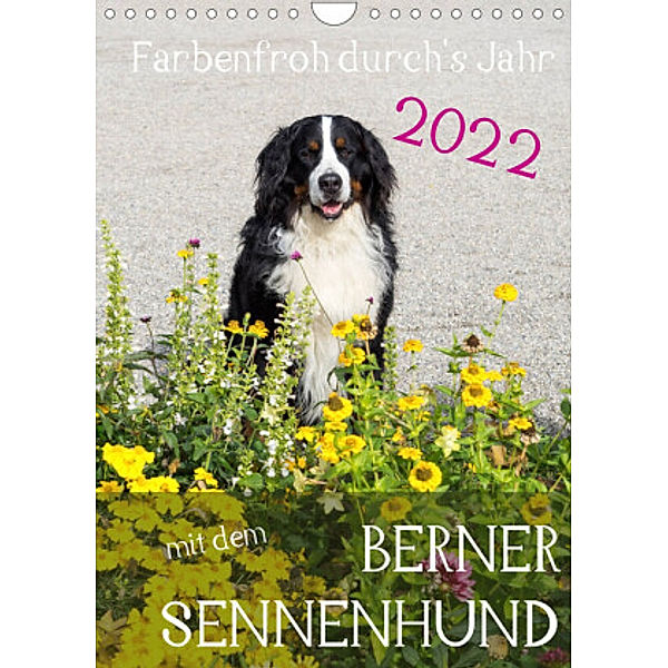 Farbenfroh durch's Jahr mit dem Berner Sennenhund (Wandkalender 2022 DIN A4 hoch), Sonja Brenner