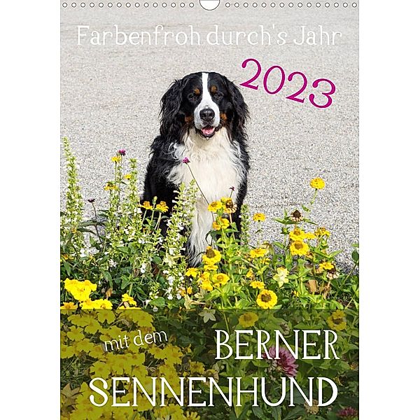 Farbenfroh durch's Jahr mit dem Berner Sennenhund (Wandkalender 2023 DIN A3 hoch), Sonja Brenner