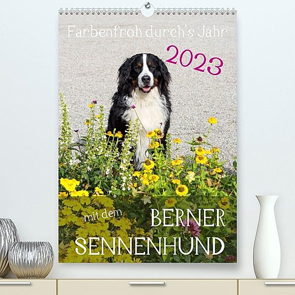 Farbenfroh durch's Jahr mit dem Berner Sennenhund (Premium, hochwertiger DIN A2 Wandkalender 2023, Kunstdruck in Hochgla, Sonja Brenner