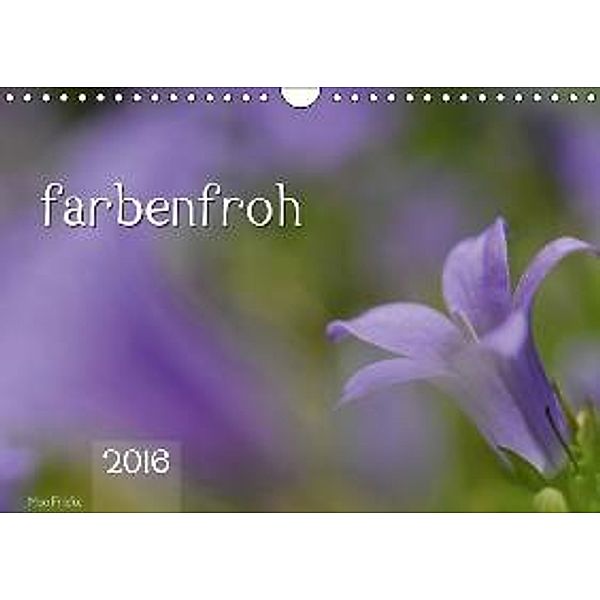 farbenfroh (Wandkalender 2016 DIN A4 quer), Moo Fricke