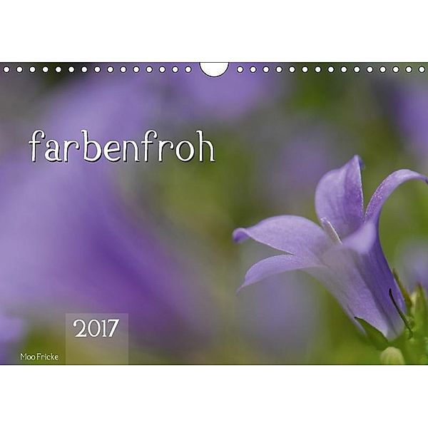 farbenfroh (Wandkalender 2017 DIN A4 quer), Moo Fricke