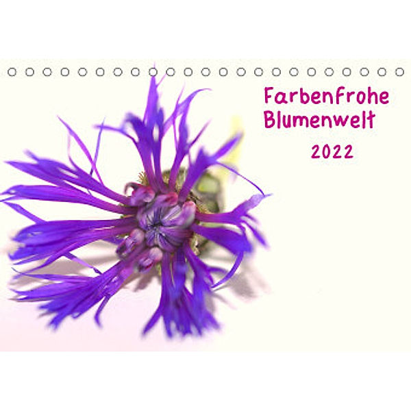 Farbenfrohe Blumenwelt (Tischkalender 2022 DIN A5 quer), Kevin Andreas Lederle