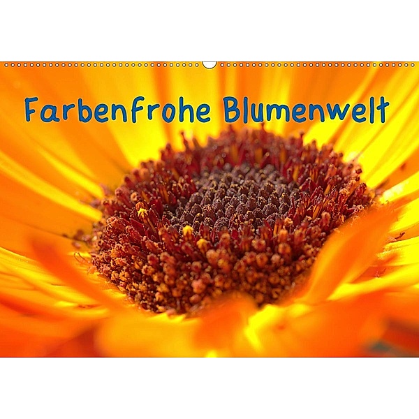 Farbenfrohe Blumenwelt (Wandkalender 2020 DIN A2 quer), Kevin Andreas Lederle