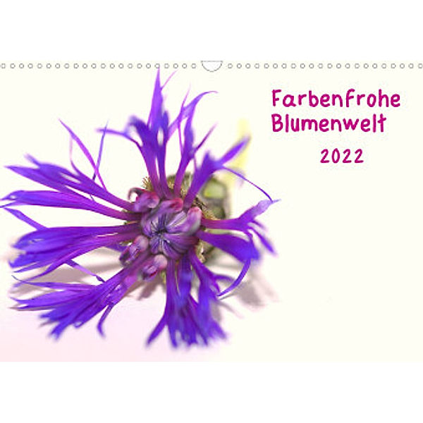 Farbenfrohe Blumenwelt (Wandkalender 2022 DIN A3 quer), Kevin Andreas Lederle