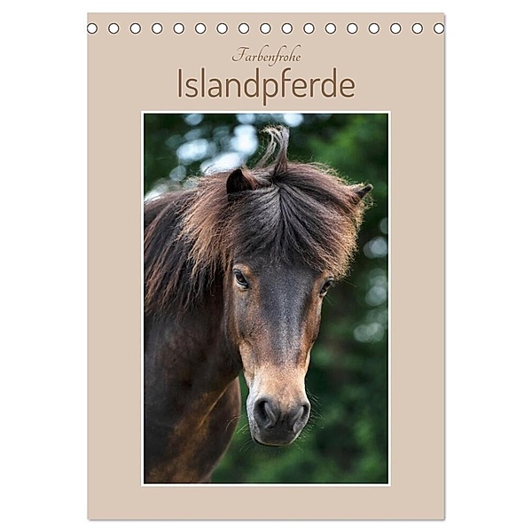 Farbenfrohe Islandpferde (Tischkalender 2024 DIN A5 hoch), CALVENDO Monatskalender, Stephanie Kohrt