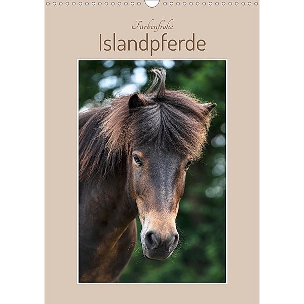 Farbenfrohe Islandpferde (Wandkalender 2023 DIN A3 hoch), Stephanie Kohrt