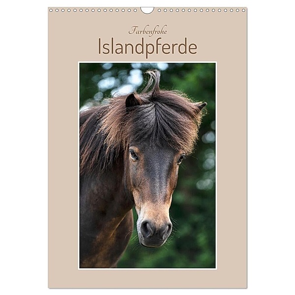 Farbenfrohe Islandpferde (Wandkalender 2024 DIN A3 hoch), CALVENDO Monatskalender, Stephanie Kohrt