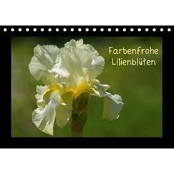 Farbenfrohe Lilienblüten (Tischkalender 2016 DIN A5 quer), Kattobello