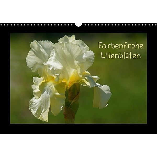 Farbenfrohe Lilienblüten (Wandkalender 2014 DIN A3 quer), kattobello
