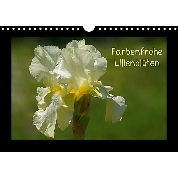 Farbenfrohe Lilienblüten (Wandkalender 2017 DIN A4 quer), kattobello, k.A. kattobello