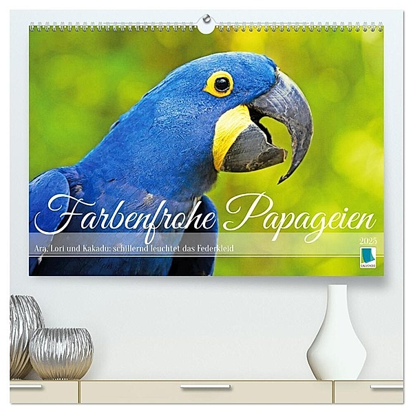 Farbenfrohe Papageien (hochwertiger Premium Wandkalender 2025 DIN A2 quer), Kunstdruck in Hochglanz, Calvendo