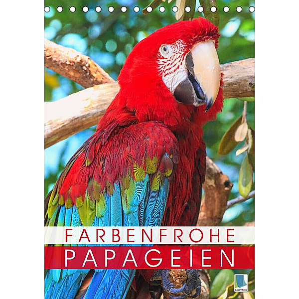 Farbenfrohe Papageien (Tischkalender 2023 DIN A5 hoch), Calvendo