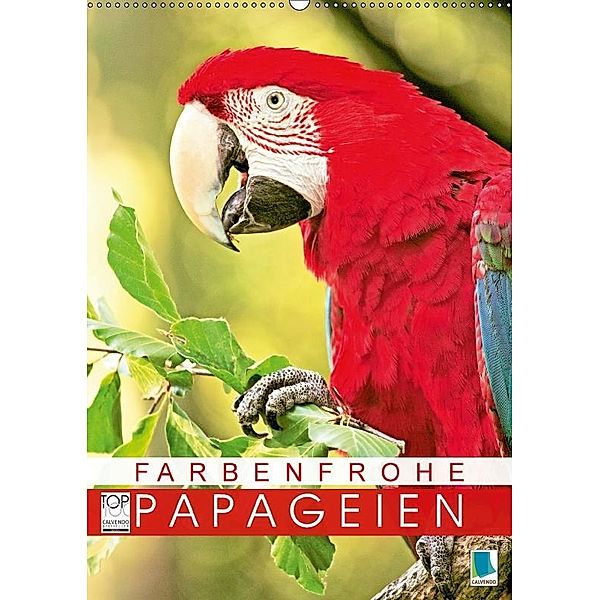 Farbenfrohe Papageien (Wandkalender 2017 DIN A2 hoch), CALVENDO