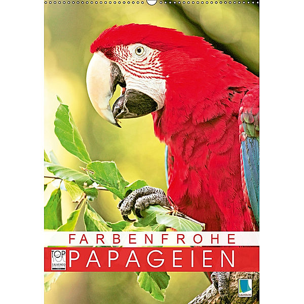 Farbenfrohe Papageien (Wandkalender 2019 DIN A2 hoch), CALVENDO